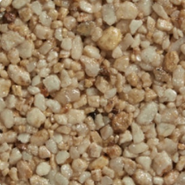 Butterscotch